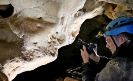 Un craniu de hienă gigantică descoperit în Crimeea