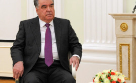 Таджикским чиновникам запретят писать диссертации без согласия президента