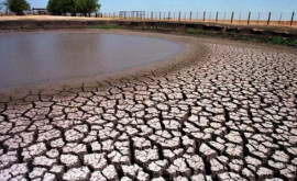 Ученые К концу века количество летних засух в Европе сильно увеличится