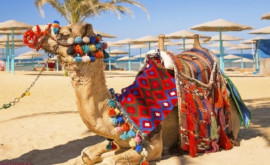 Egiptul va deschide alte două orașe turistice