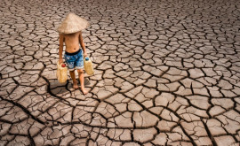 Вьетнам Ребенок собирает последние капли воды с выжженного засухой поля 