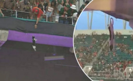Incident pe un stadion din SUA O pisică căzută de la etaj salvată de suporteri