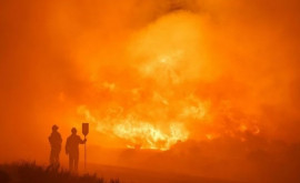 Incendiul devastator din zona Malaga sudul Spaniei a fost adus sub control