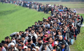 Евросоюз хочет реформировать Шенген изза наплыва мигрантов
