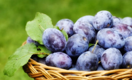 8 beneficii de sanatate ale prunelor