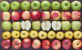 Употребление яблок продлевает жизнь человека на 17 лет