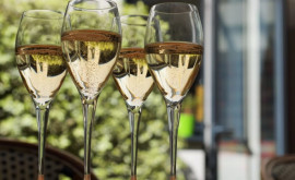 Россия и Франция создадут рабочую группу по решению спора о шампанском