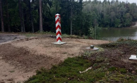Нелегальные мигранты застряли в болоте на границе Польши и Беларуси