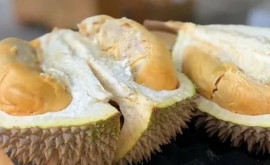 O echipă de cercetători din Singapore transformă coji de durian în plasturi antibacterieni