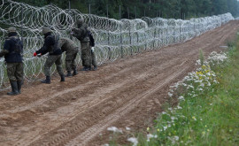 Названа причина смерти нелегалов из Беларуси на границе с Польшей