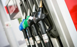 НАРЭ Цены на бензин незначительно снизятся