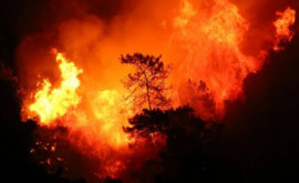 Grecia Incendii în apropiere de Atena evacuări ordonate ca măsură de precauţie