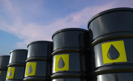 НАРЭ объявило новые цены на нефтепродукты
