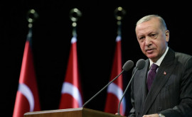 Эрдоган Мир на Ближнем Востоке невозможен если Израиль продолжит угнетать палестинцев