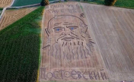 Итальянец нарисовал портрет Достоевского трактором в поле ВИДЕО