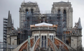 Более 840 миллионов евро собрано на реконструкцию собора Парижской Богоматери