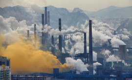 Cel mai recent raport al OMS arată ce se întîmplă dacă locuiți în locuri cu aer poluat