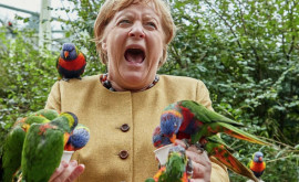 На Меркель напал попугай