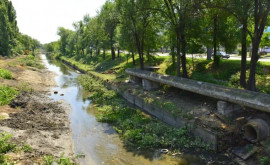 Примэрия объявляет кампанию по очистке русла реки Бык