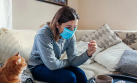 COVID19 nu este mai periculos decît o simplă gripă Prima țară care declară acest lucru public