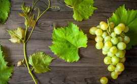 Виноград сохранит здоровое сердце