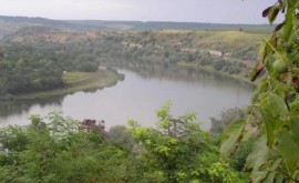 Желтый уровень экологической опасности Низкий сток в бассейне реки Прут