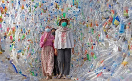 Un muzeu creat din sticle şi pungi din plastic avertizează asupra pericolului poluării oceanelor