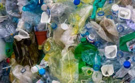 Peste 3700 de tone de plastic plutesc în apele Mării Mediterane