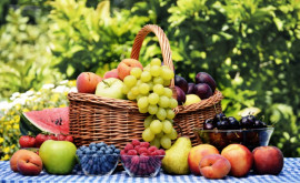 Noi posibilități de export a fructelor în Germania