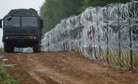 Евросоюз призвали остановить поток нелегалов из Беларуси