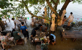 Restaurantul în care apa plutește atracția turiștilor din Thailanda