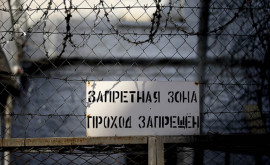 Carina Țurcan condamnată pentru spionaj a fost transferată întro închisoare din Ținutul Altai