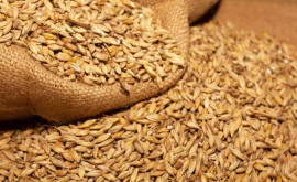 Чем закончилась эпопея с пшеницей взятой из госрезерва 