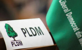Ștampila unei firme offshore găsită la PLDM Explicația lui Vlad Filat