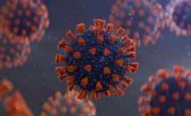 В России выявили новый штамм коронавируса AY42