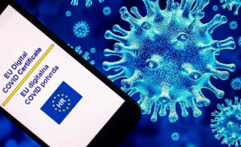 Franța prelungește restricțiile pentru prevenirea infectării cu COVID19