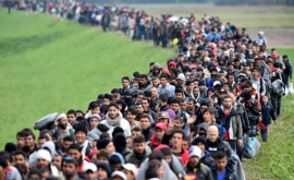 Consiliul Europei solicită statelor membre să interzică respingerea migranţilor la frontiere