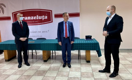 Франзелуцу возглавил новый временный генеральный директор
