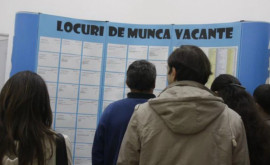 Peste 114 mii de locuri de muncă vacante în Moldova