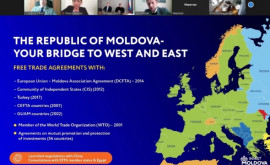 Инвестиционный потенциал Молдовы представили в Москве