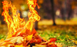Ce amenzi riscă persoanele care dau foc la frunze