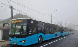 Un lot de 7 autobuze noi au fost distribuite pe rutele din suburbii