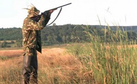 Охотники требуют пересмотреть их права на охоту