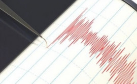 На побережье Чили произошло землетрясение магнитудой 59