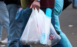 На Центральном рынке продолжают использовать запрещенные пластиковые пакеты