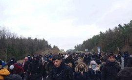 Германия обвинила Беларусь в миграционном кризисе на границе Польши