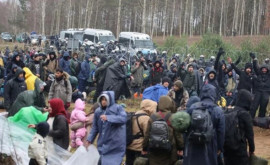 На границе Беларуси и Польши вели стрельбу поверх голов мигрантов