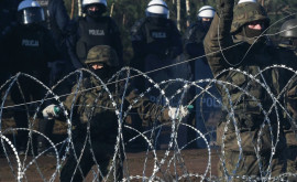 Польша задержала ряд иностранцев за пособничество мигрантамнелегалам
