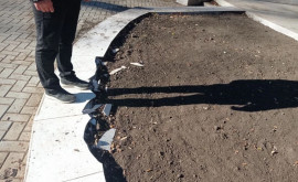 Не успели порадоваться Тротуарная плитка в сквере на Ботанике разгромлена вандалами
