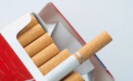 Piața ilegală a tutunului a atins 18 în Ucraina Care este situația în Moldova